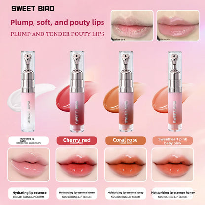 Mirror Shine Sweet Bird Hydrating Lip Gloss