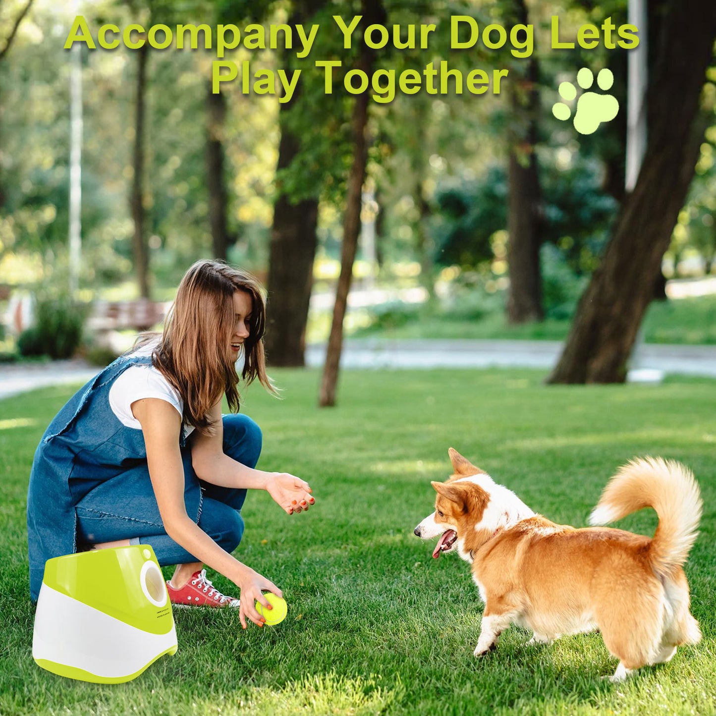 Fetch Pilot Automatic Dog Ball Launcher Toy